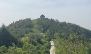 乙巳年闰六月·凤还巢